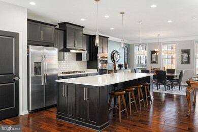 25021 Cambridge Hill Terrace, Chantilly, VA 20152 - photo 3