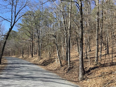 0 Higginbotham Rd unit 22020696, Little Rock, AR 72126 - photo 3