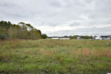 TBD Fox Chase Dr, Conway, SC 29527 - photo 5