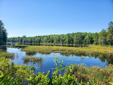 406 Ladd Rd, Mercer, ME 04957 - photo 4