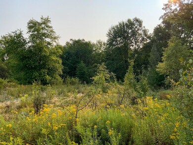 IMG_0269