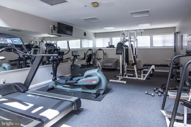 6350 Red Cedar Place unit 307, Baltimore, MD 21209 - photo 5