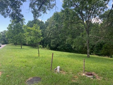 Tbd James River Rd, Kimberling City, MO 65686 - photo 7