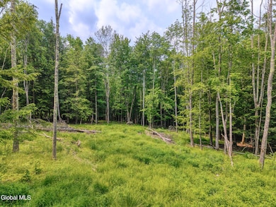 TBD Boulder Brook Rd unit Lot  12, Windham, NY 12496 - photo 6