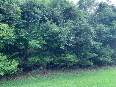 53 Lakeview Drive Lot 1, Alvin, TX 77511 - photo 3