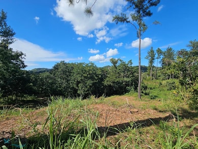 Km 1.65 Calle Reinita unit Parcela A, Moca, PR 00676 - photo 7