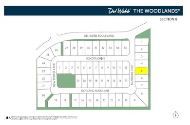 189 Mustang Colt, Spring, TX 77382 - photo 3