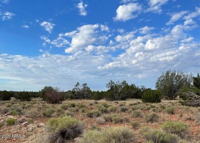 000 Via de Oro -- unit 1332, Seligman, AZ 86337 - photo 2