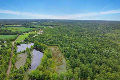 Drone / aerial view featuring a water view and a v