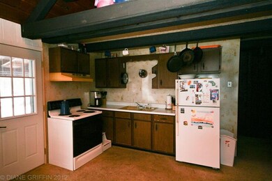 1445 Old Ferris Ln, Bitely, MI 49309 - photo 4