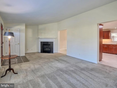 111 Loganberry Ln, Rehoboth Beach, DE 19971 - photo 7