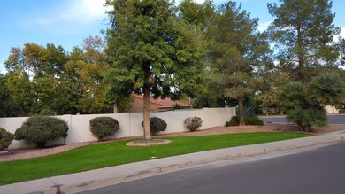 1464 N Desoto St, Chandler, AZ 85224 - photo 6