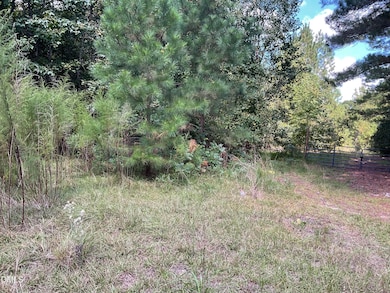 0 E Governor Brandon St, Anderson Creek, NC 28390 - photo 7