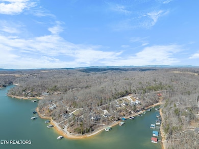 DJI_0663
