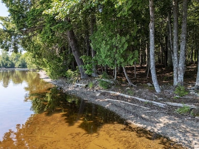 lot 5 Black Cat Point, Princeton, ME 04668 - photo 6