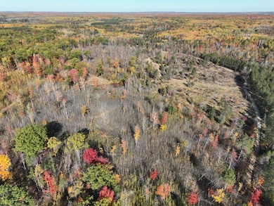 DJI_0219