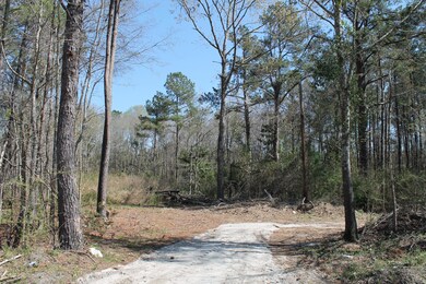 367 Hopkins Dr, Moncks Corner, SC 29461 - photo 3