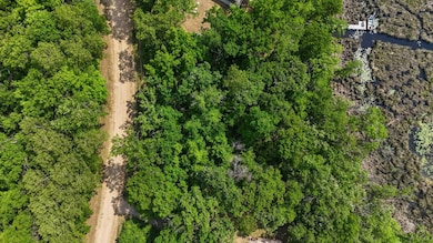 XXX Pinewood Ct, Browerville, MN 56438 - photo 7