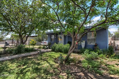 733 Santa Barbara Dr, El Paso, TX 79915 - photo 2