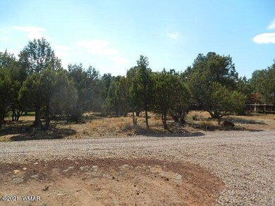 0 6th Place, Show Low, AZ 85901 - photo 4