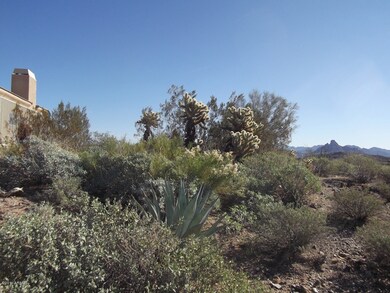 Desert