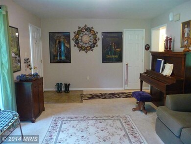 7349 Eggbornsville Rd, Rixeyville, VA 22737 - photo 3