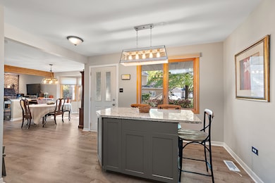 11914 Dunree Ln, Orland Park, IL 60467 - photo 7