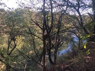 2142 Sims Rd, Shelbyville, TN 37160 - photo 5