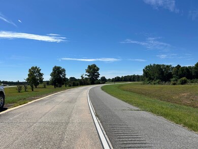 0 Lucy Chapel Rd, Danville, GA 31017 - photo 5