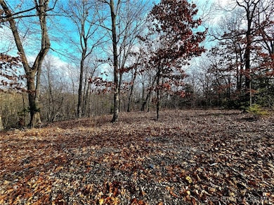 TBD Echo Valley Rd, Osage Township, MO 65072 - photo 3