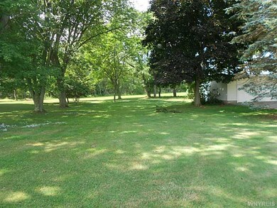 Backyard.