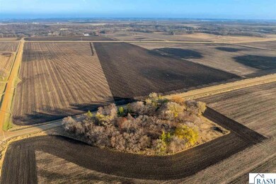 16280 552nd Ave, Good Thunder, MN 56037 - photo 5