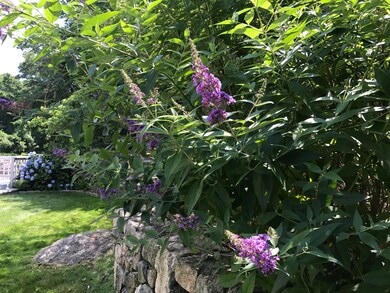 Side Garden