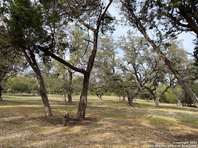 8633 Barn Owl, San Antonio, TX 78255 - photo 2