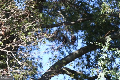 128 N Lake Dr, Stevensville, MD 21666 - photo 7