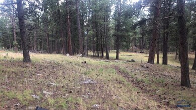 TBD Wind Dance Rd unit TBD Wind Dance Ranch, Custer, SD 57730 - photo 6