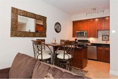 27 Wheeler St unit 222, Cambridge, MA 02138 - photo 5