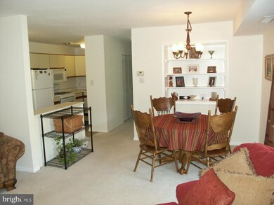 216 Park Terrace Ct SE unit 100, Vienna, VA 22180 - photo 4
