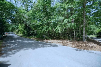 000 Sable St, Walterboro, SC 29488 - photo 2