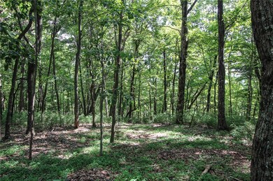 8088 Ridgeview Dr, Big Canoe, GA 30143 - photo 2