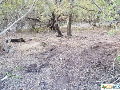 930 Cr 4804, Copperas Cove, TX 76522 - photo 4