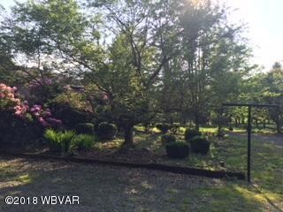 91 Taylor Hill Rd, Hughesville, PA 17737 - photo 4