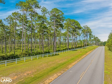 0 Steelwood Ridge Dr unit 24163208, Loxley, AL 36551 - photo 6