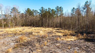 TBD Old Tram Rd, Conway, SC 29527 - photo 7