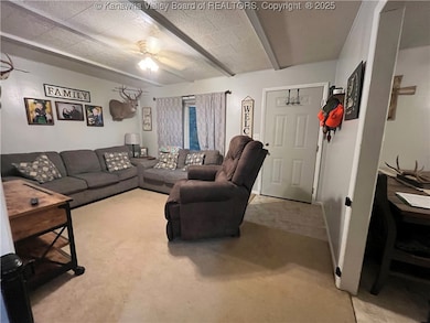 1206 Thomas Ridge Rd, Leon, WV 25123 - photo 3