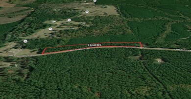 TBD Farm To Market 2024, Hemphill, TX 75968 - photo 3