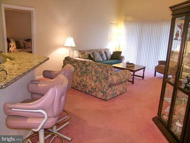 13201 Cloppers Mill Dr unit 11-D, Germantown, MD 20874 - photo 3