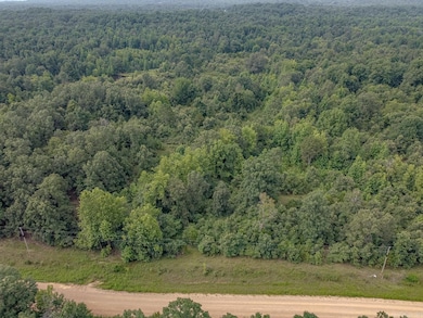 4152 Ponds Tract 3, Maynard, AR 72444 - photo 2