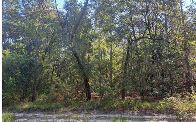 TBD 29th Place, Branford, FL 32008 - photo 7