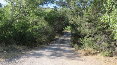 The gravel road in